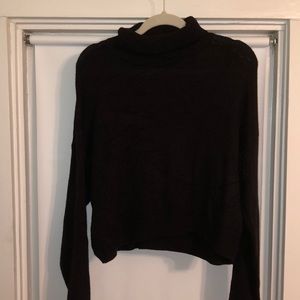 Cropped Turtleneck Sweater
